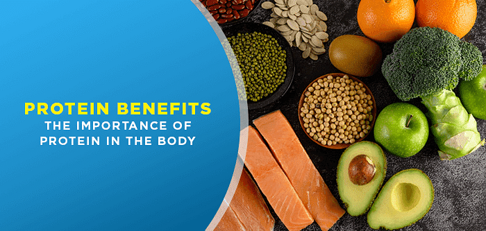 Protein Benefits | The Importance of Protein In The Body