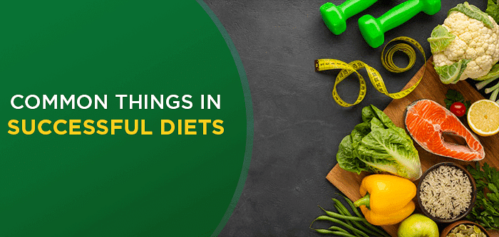 5 Things Successful Diets Have In Common