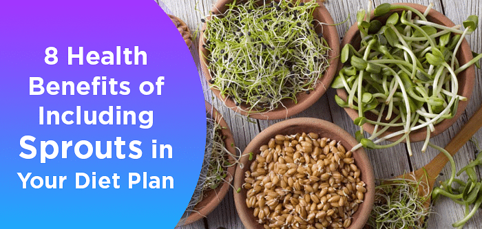 8 Health Benefits Of Including Sprouts In Your Diet Plan