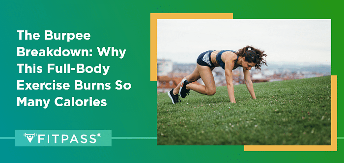 Why Burpee Exercise Burns So Many Calories
