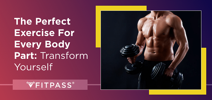 The Perfect Exercise For Every Body Part: Transform Yourself