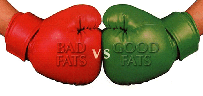 Good Fats Vs Bad Fats : Healthy High-Fat Foods And How To Choose