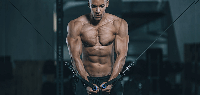 Top 10 Chest Workouts for Men: Build Strong Chest Muscles at the Gym