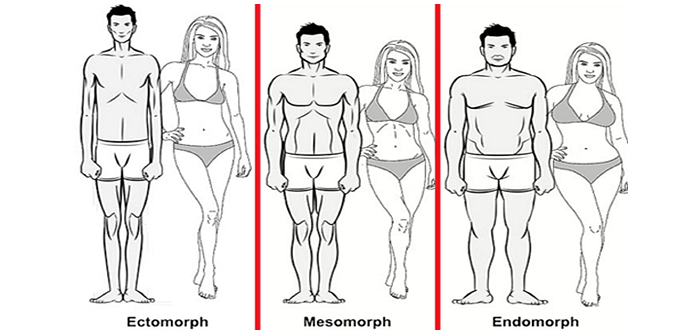 Train According To Your Body Type – Receive The Best Results.