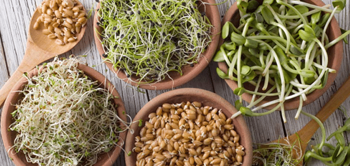 8 Health Benefits Of Including Sprouts In Your Diet Plan
