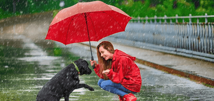 Top foods to keep up the immunity during monsoon