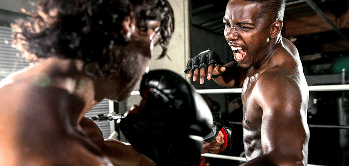 Why Should You Include Mixed Martial Arts In Your Fitness Regime?