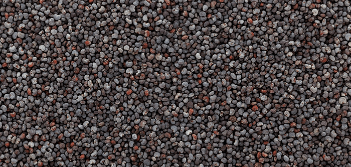 Poppy Seeds Benefits | Reasons Why Khus Khus Is Good For Your Health