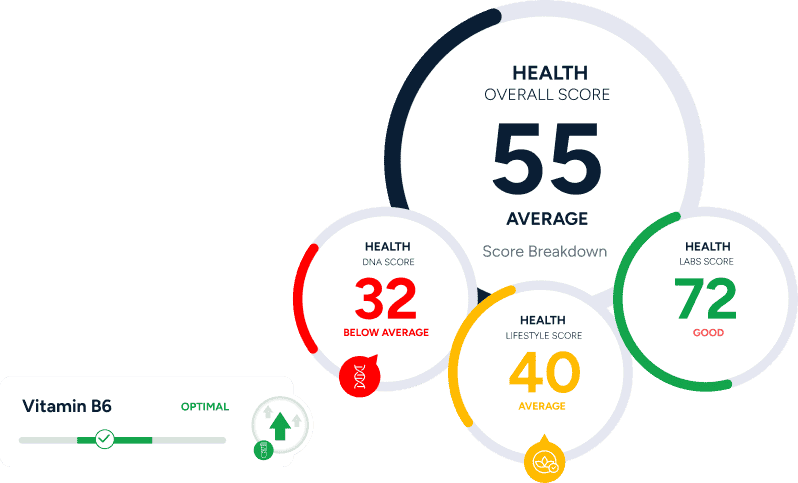 health calculator banner