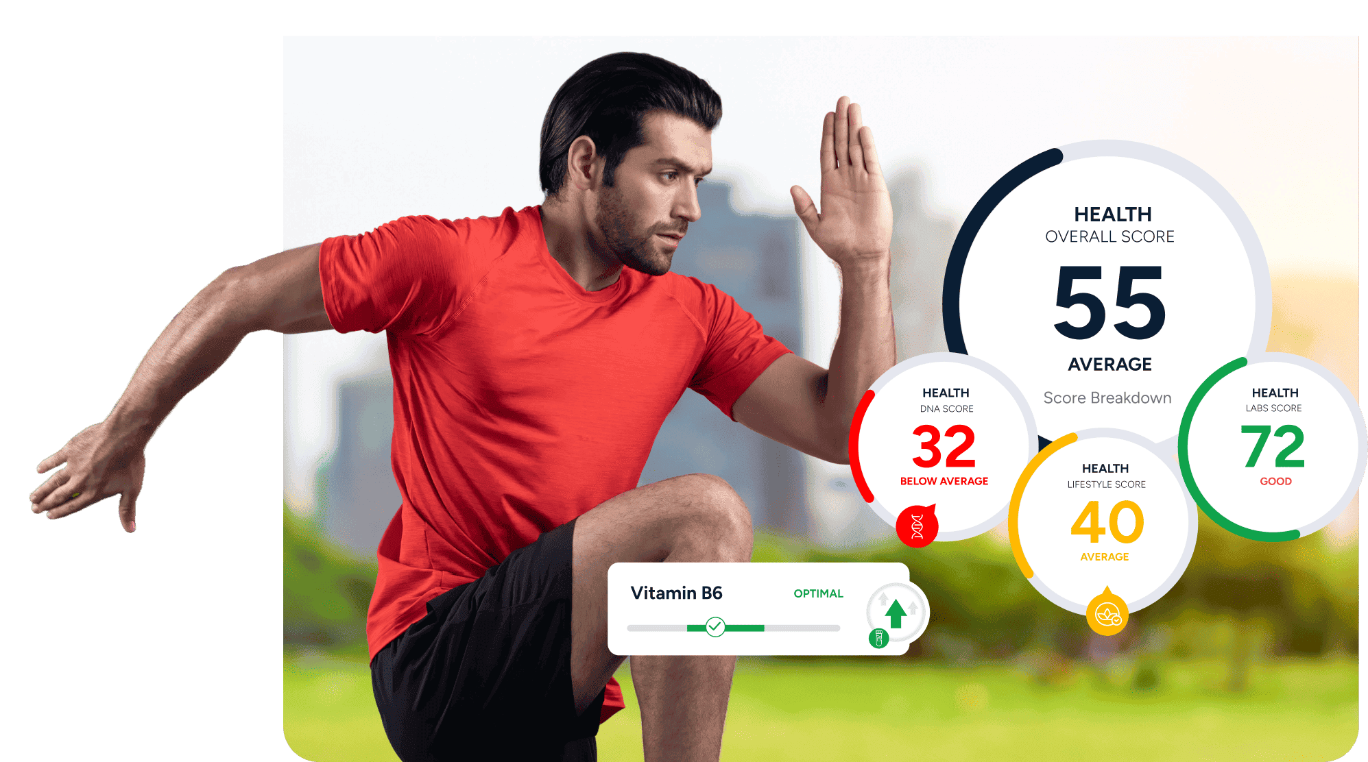 health calculator banner