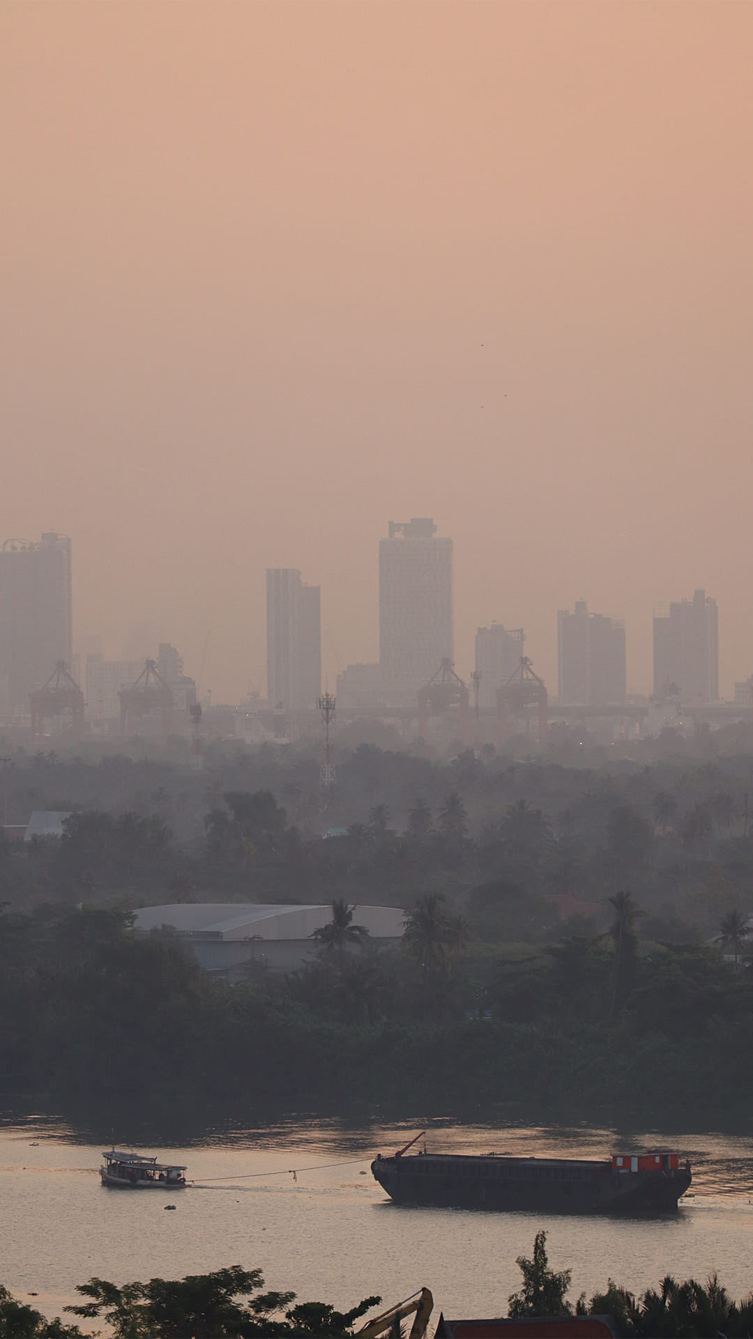 Breathe Smart: Spot the Early Effects of Pollution on Your Body