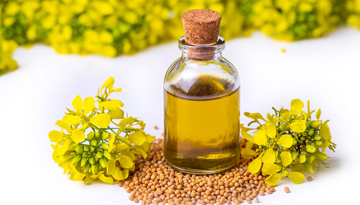 Mustard Oil Side Effects: Who Should Not Use It and Why