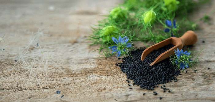 How Kalonji Benefits You: Science, Ayurveda, and Daily Uses
