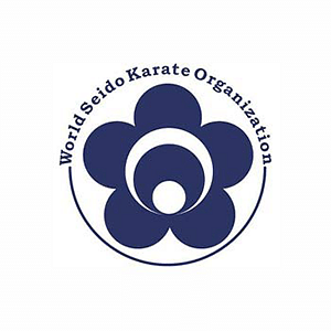 Seido Karate India Greater Kailash Part 1