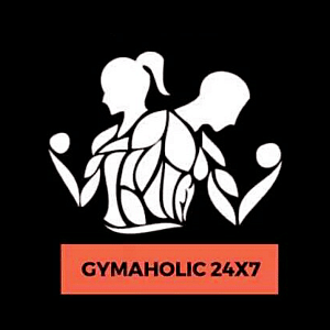 Gymaholic Gym Vasundhara Enclave