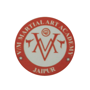 VM Martial Art Academy Pratap Nagar