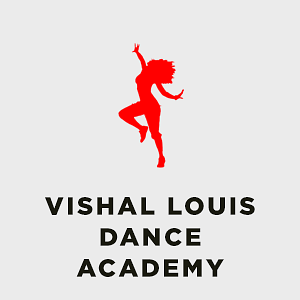 Vishal Louis Dance Academy Sector 14 Rohini