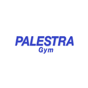 Palestra Fitness Studio Virugambakkam
