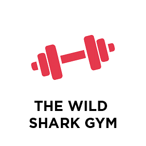 The Wild Shark Gym