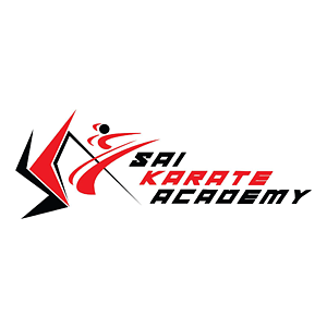 Sai Karate Planet Sector 5 Gurugram