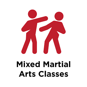 Mixed Martial Arts Classes