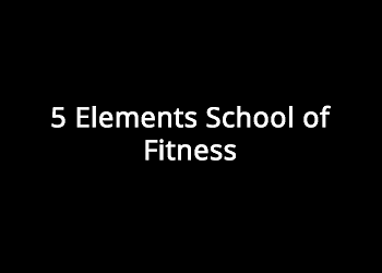 5 Elements School Of Fitness Sector 9 Rohini