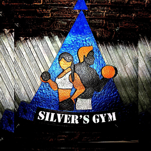 Silver's Gym Rt Nagar