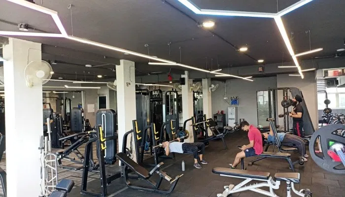 Delhi Gym Stores Nearby Delhi Shop For Gym Equipment Near Me Delhi