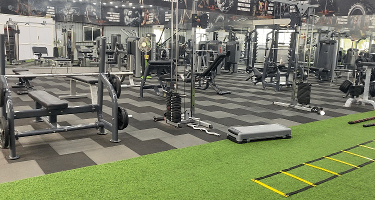 Icon Fitness Moshi