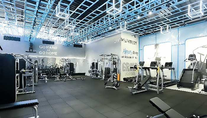 Strength Factory Maltekdi