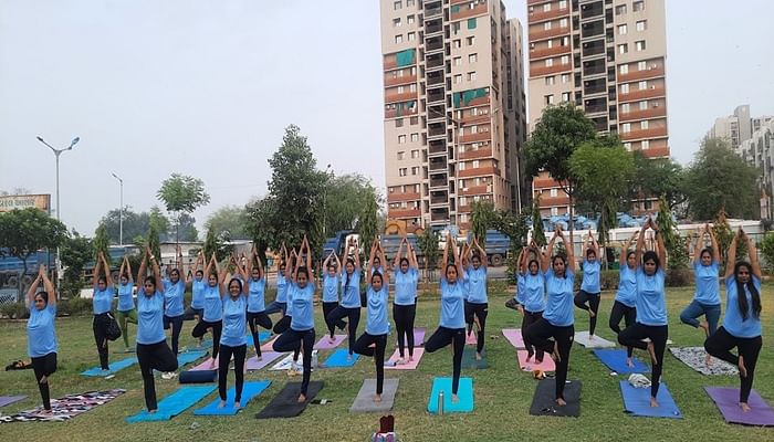 Blue Leaf Yoga Studio Paldi