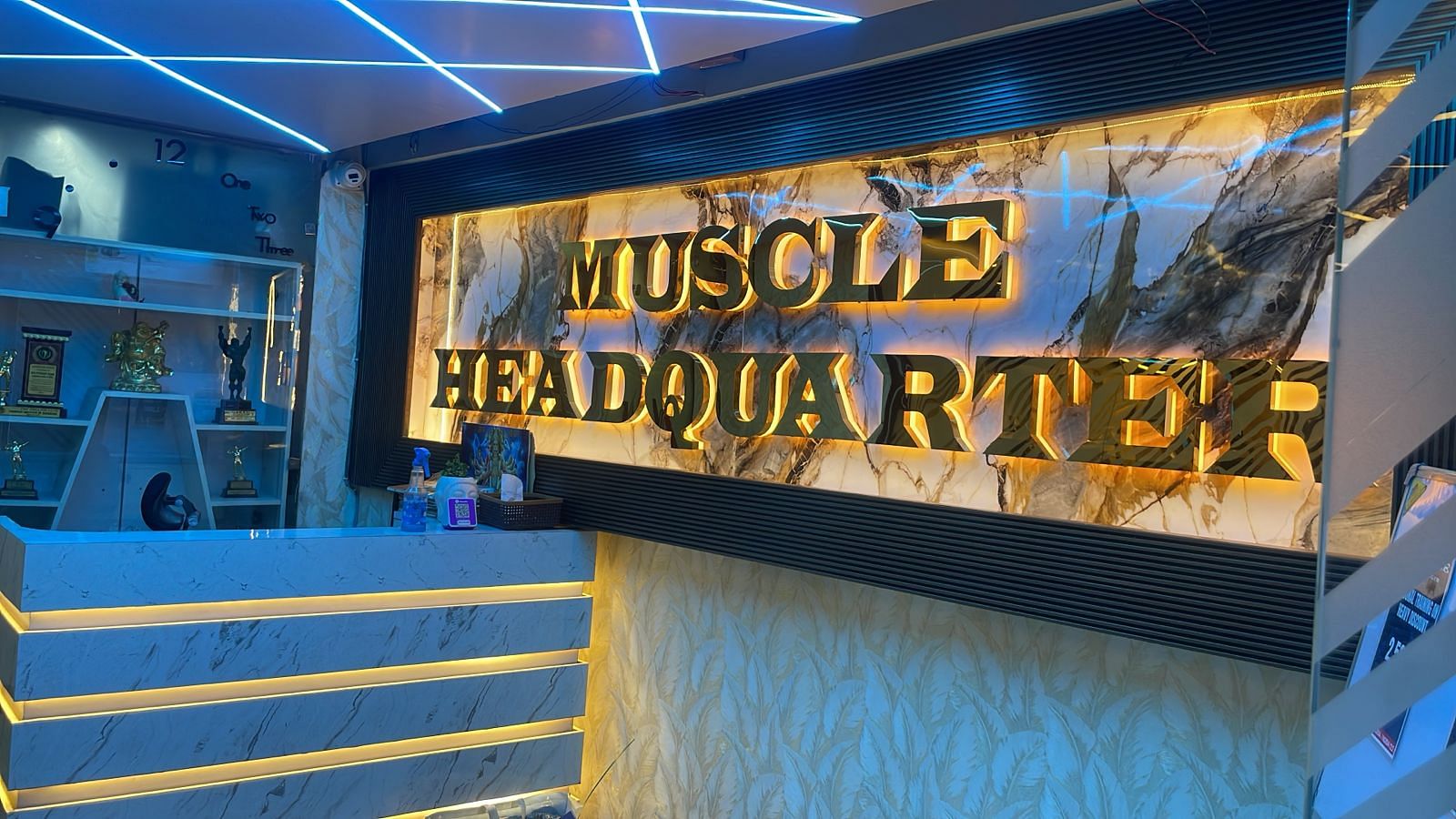 Muscle Headquarter Gym Krishna Nagar Delhi
