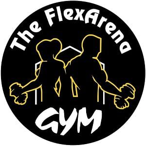 The FlexArena Gym Sector 16 Faridabad
