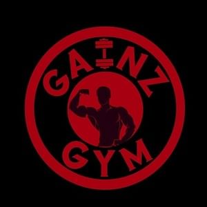 Gainz Gym Osman Sagar Road