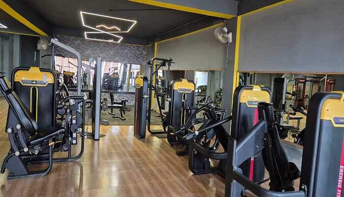 The Royal Fitness Freak Gym Uit Colony