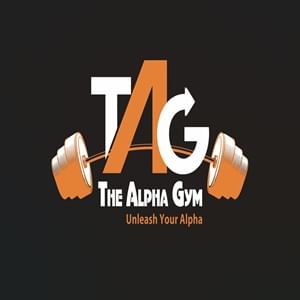 The Alpha Gym Model Town