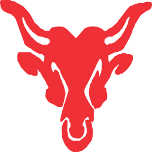 The Rock Gym Murlidhar Vyas Colony