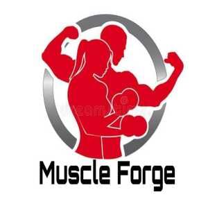 Muscle Forge Fitness Club Karol Bagh