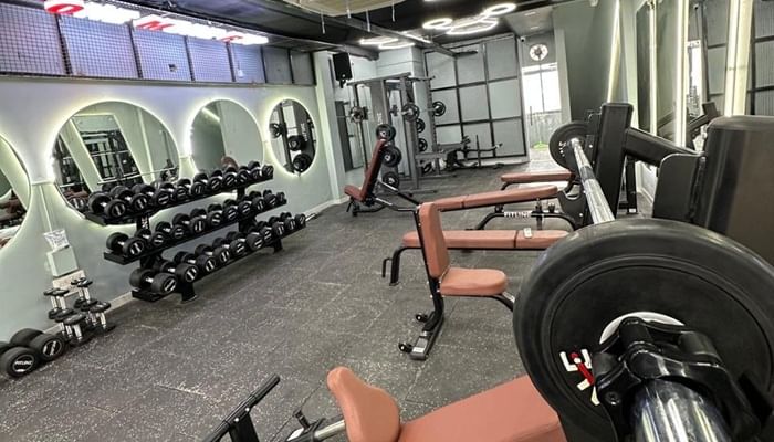 Bold Gains Sector 7 Rohini