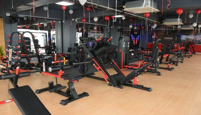 Fitfox Studio B Camp