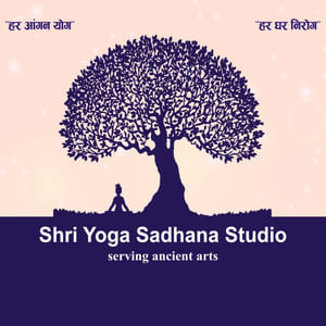 Shri Yoga Sadhana Studio Saraswati Vihar Delhi