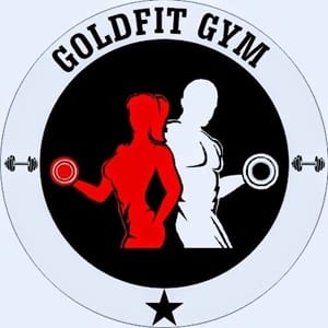Goldfit Gym Pi 1 And Pi 2