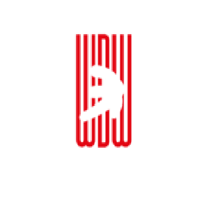 Will Dance World Manikonda