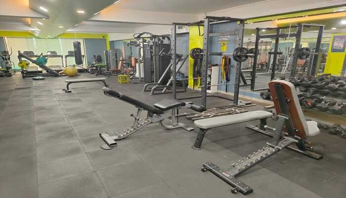 Spunk Paradise Rehabari