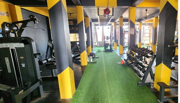 Iron Paradise Gym Sachendi