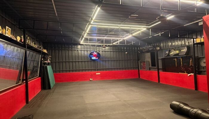 vonlee martial arts academy