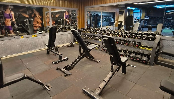 the gym fitness club