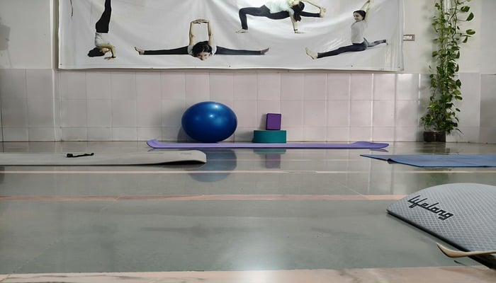 holistica wellness center